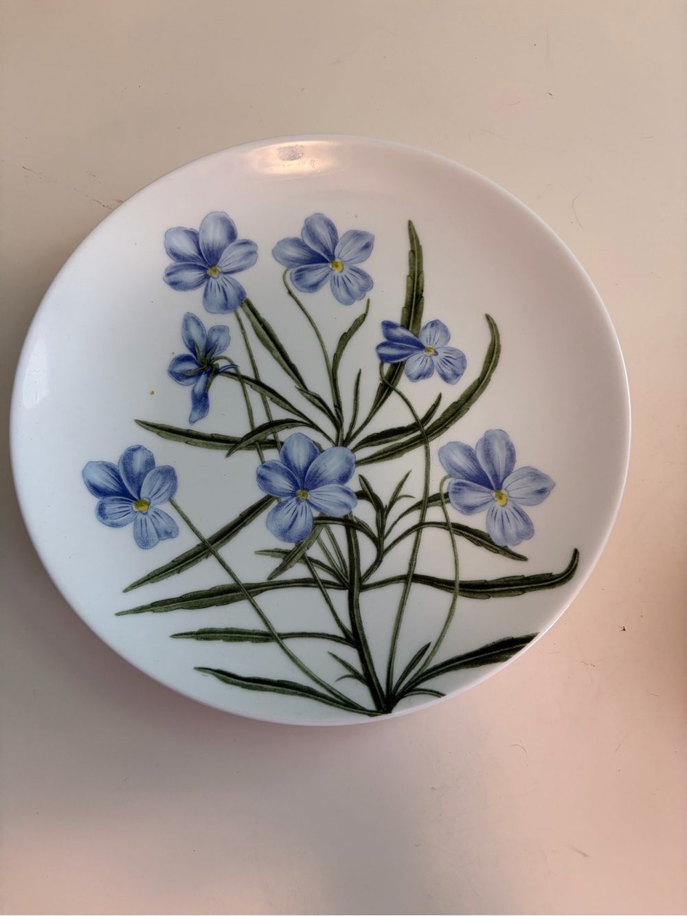 (4) Martha Stewart Wispy Floral Blue Vine Creamy Porcelain Salad Plate